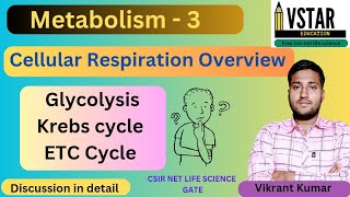 Cellular Respiration  Glycolysis  Krebs cycle  Oxidative phoshphorylation  Metabolism by vikrant [upl. by Carboni]