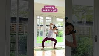 Standing Back Strength Routine [upl. by Leynwad812]