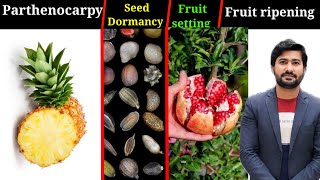 184 Parthenocarpy  Seed Dormancy  Fruit setting and ripening fsc Biology class 12 [upl. by Laband402]