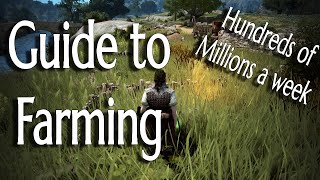 Beginners Guide to Farming for Silver in BDO [upl. by Grinnell]