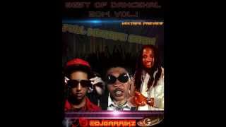 Dancehall Mixtape 2014 Vol1 Best Of Dancehall 2014  Preview  DjGarrikz  September [upl. by Eidnar]