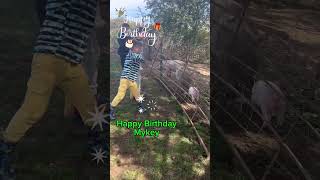 Happy Birthday Mykey shortsyoutube horse shetlandpony pigs foryou family [upl. by Anirbes]