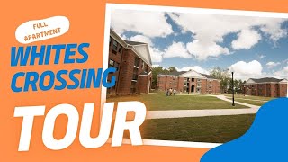 Whites Crossing Full Apartment Tour  Chowan University [upl. by Aicekan]