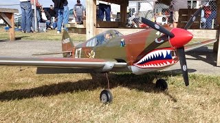 Curtiss P40 Warhawk Flying Tiger WWII Warbird RC Plane at Warbirds Over Whatcom [upl. by Ifar]