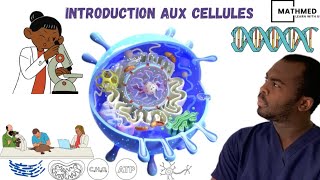 Introduction aux Cellules  Un voyage vers la Biologie Cellulaire soustitrée en plusieurs langues [upl. by Bein608]