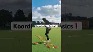 KoordinationBasics❗️fy koordination fußball basics individualtraining hardwork talent [upl. by Leunam]