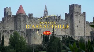 Camping Yelloh Village Domaine dArnauteille  Languedoc Roussillon  Camping Aude [upl. by Fara971]