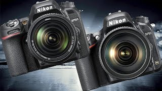 Nikon D750 vs Nikon D7500 High ISO Performance [upl. by Anaiuq]