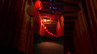 Fushimi Inari Taisha dulichnhatban [upl. by Ethelred]