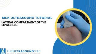 Musculoskeletal ultrasound evaluation of the lateral compartment of the lower leg [upl. by Llezom]