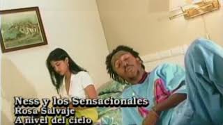 11 Ness Y Los Sensacionales  Rosa Salvaje Official Video [upl. by Carlene742]