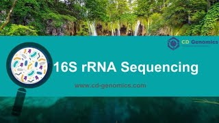 16s rRNA sequencing MicrobiologyBioinformaticsSequencingMolecular Biology [upl. by Neltiak]