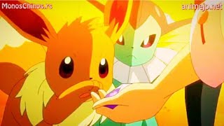 Eevee evolves into Vaporeon  Pokemon Sword And Shield Episode 63 AMV [upl. by Aniluj]