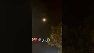 توكل علي الله ♥️🥹 الله shortvideo اكسبلور قرانكريم [upl. by Bruning]