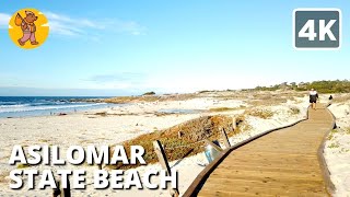 Asilomar State Beach Boardwalk Walking Tour  Monterey County 4k 🔊 Binaural Sound [upl. by Enelec]