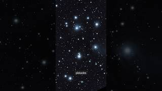 Pleiades  Short 139  subscribe pleiades starcluster vesperapro [upl. by Eastman]