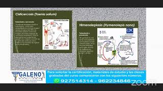 MICOSIS Y PARASITOLOGÍA [upl. by Jemmy]