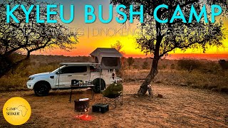 Weekend solo camping in the African bush  Kyleu Bush Camp  Dinokeng Game Reserve  South Africa [upl. by Colpin]