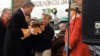 Groundhog Dropped By Mayor Later Dies [upl. by Holden160]