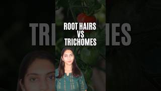 Root Hairs and Trichomes Difference shorts neet youtubeshorts [upl. by Danziger]