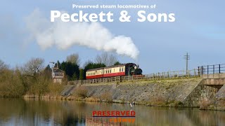 Preserved Locomotives of Peckett amp Sons [upl. by Adamec]