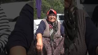 Mecnunum Leylamı gördüm shorts türkü yayla leyla köy [upl. by Tratner153]