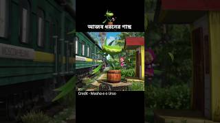 এটি আজব ধরনের গাছ 🌳।। Bear Girl amp Tree story [upl. by Illac]