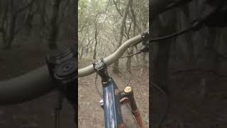 Mtb into hobbit forest somewheres in the blue ridge mtb mtbbikes [upl. by Lebana134]