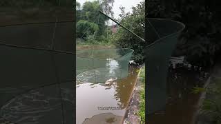 Fish Catching 😱NewViralGadgetsSmartAppliancesKitchenUtensilsHomeInventions [upl. by Savory]