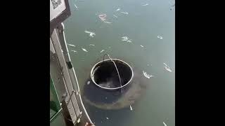 This is What We Need in Cebu for Collecting Garbage at Canals and the Sea or Rivers [upl. by Lledrac108]