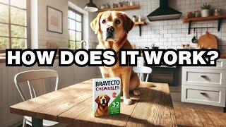 How Does Bravecto Work For Dogs Explained [upl. by Frederigo]