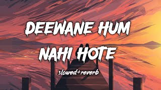 Deewane Hum Nahi Hote  Lofi Song Slowed and Reverb  Lastest Hindi Song [upl. by Ariela]