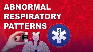 Abnormal Respiratory Patterns amp Associated Health Affects [upl. by Enelyad628]