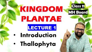 Thallophyta Kingdom Plantae Lecture 1  Class 11 Biology  Maharashtra State Board [upl. by Aia]