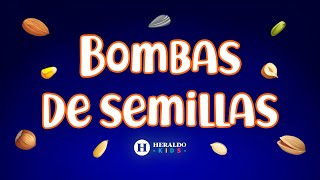 HeraldoKids  Aprende a hacer unas BOMBAS DE SEMILLAS para tu jardín  Actividades para niños [upl. by Butler]