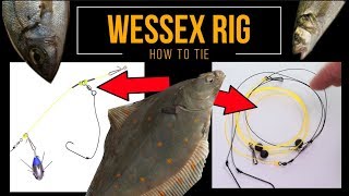 Sea Fishing Rig Guide  WESSEX RIG A two minute rig that works [upl. by Locin171]