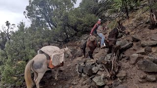 Horseback Elk Hunt Colorado 2023 HD 1080p [upl. by Nutsud941]