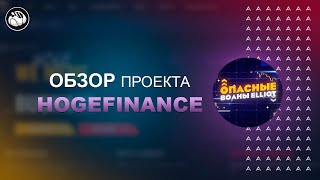 Hoge Finance  Популярная модель дефляционного токена с системой авто стейкинга [upl. by Inoliel865]