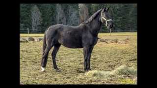 PBO Apache [upl. by Xavier]