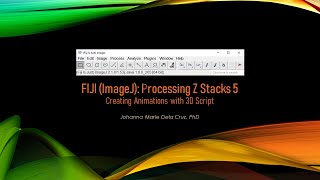 Processing z Stacks 5 Creating Animations with 3D Script FIJI ImageJ [upl. by Areval]