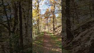 Le chant de la Dunières Auvergne zen [upl. by Ninon]