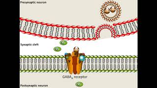 Pentobarbital  Mechanism of Action [upl. by Eidolem]