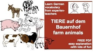 German Vocabulary Animals on the farm  Bauernhof  Bauernhoftiere [upl. by Atteynad]