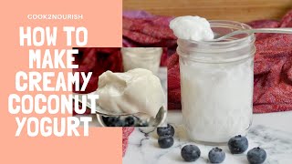 How to make Creamy Coconut Yogurt Paleo AIP Vegan  Instant Pot Coconut Yoghurt [upl. by Brecher865]