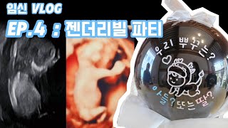 임신 VLOG EP4 젠더리빌 파티  임신 12주 정밀초음파  임신 15주 젠더리빌 파티 [upl. by Anim]