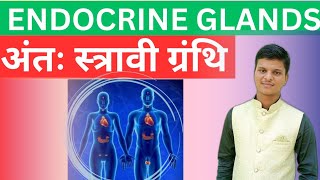 Bihar Board Class 10 Biology Endocrine Glands अंतः स्त्रावि ग्रंथि  Hormones Complete video [upl. by Neik]