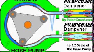 HOSE PUMP  HOSE TYPE PULSATION DAMPENER [upl. by Meadow]