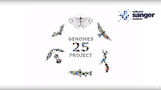 Sanger Institute  25 Genomes for 25 Years Introduction [upl. by Cr]