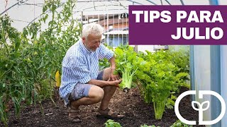 Este Julio Descubre los Mejores Consejos de Jardinería que No Puedes Ignorar [upl. by Hareehahs119]