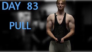 DAY 83  PULL BACK amp BICEPS [upl. by Llenahs]